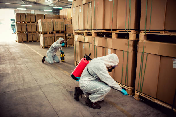 Best Best Pest Control Near Me  in Miller, SD