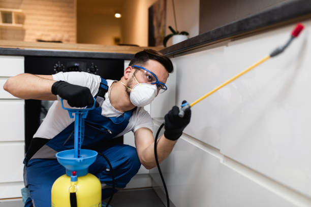 Best Pest Prevention Services  in Miller, SD