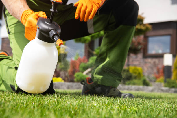 Best Cockroach Control Services  in Miller, SD