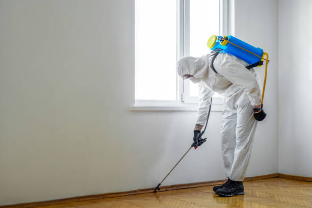 Best Best Pest Control Companies  in Miller, SD