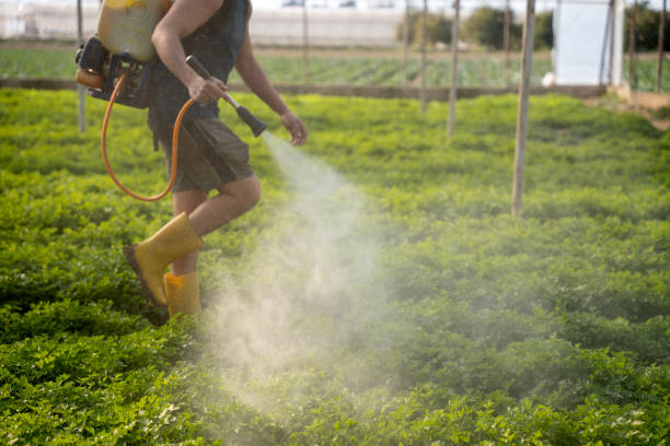 Professional Pest Control in Miller, SD