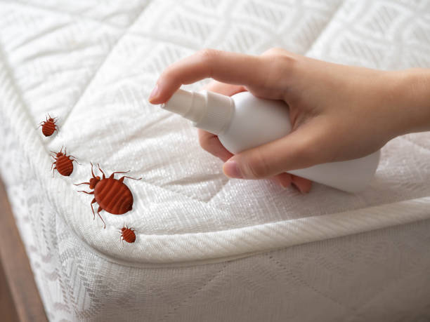 Pest Control Cost in Miller, SD