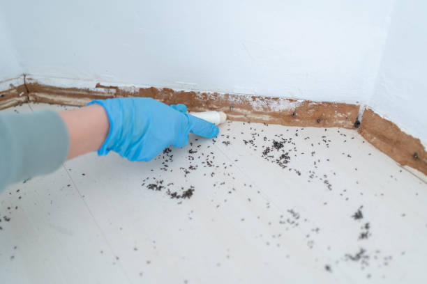 Best Cockroach Control Services  in Miller, SD