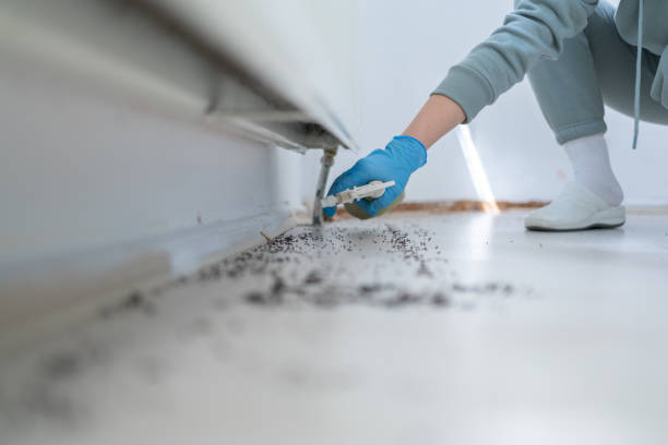 Best Ant Control Services  in Miller, SD